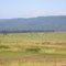 Snoqualmie Valley Pasture