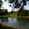 Snoqualmie River from McCormick Park