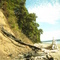 Origin of July 4th 2009 forest fire on beach between Tskutsko Point and Oak Head, Toandos Peninsula, Hood Canal, Wa