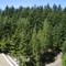 NH Bremerton-View from classroom 6th floor