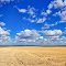 hwy 2 eastern washington wheat fields - 360 - nwicon.com