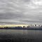 Foggy Seattle Skyline