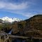 Twin Sisters Range from logged-off and replanted Longview Timber timber company land