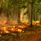 Creeping fire near Domke Lake