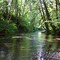 North River