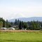 Mt Rainier over Carnation