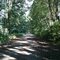 Snoqualmie Valley Trail North of Carnation