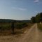 Snoqualmie Valley Trail near Novelty Hill