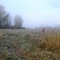 Stillwater Pheasant Release Site