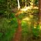 Eagle Cliff Trail, Cypress I. WA