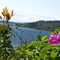 Squamish Harbor in Hood Canal