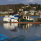 Coon Bay Marina