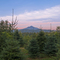 Mt. Pilchuck from Robe Menzel Road