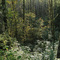 Lime Kiln Trail