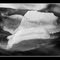 Icy Rock in Stillaguamish River