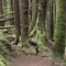 start of Lime Kiln Trail hike