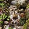 Rock man sleeping in the stream on Lime Kiln Trail