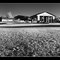 Mountain Way Elementary School, Infrared Panorama