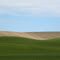 Rolling Hills
