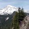 Mt Rainier WA