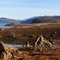 Rife Lake Beach [PANO]