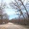 Tapley Woods Conservation Area winding road