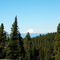 View of Mt. Rainier from Table Mountain