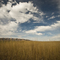 Cassia County, ID, USA