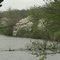 Lincoln Memorial Gardens on Lake Springfield