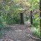 Pathway to Peace