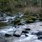 Small Stream