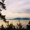Chuckanut