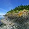 San Juans - Vendovi Island - South Beach 360 - nwicon.com