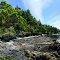 San Juans - Vendovi Island - West Shore 360 - nwicon.com