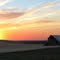 Amber Waves of Grain