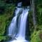 Evergreen Falls