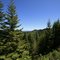 Rough Terrain..Land of the Lumberjack & the Skookum...