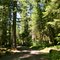 Martins Creek Road...