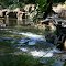 Brice Creek
