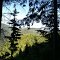 VIEW OF FAIRVIEW LOOKOUT TOWER