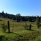 Along Cedar Grove Road