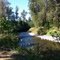 Cedar River in Summer