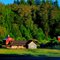 Farm by Redmond-Fall City Rd NE