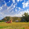 Dirty Work: A farmer in his field