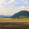 Fields