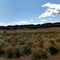 Ancient Lake Panorama