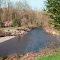 The Cedar River in Renton, Washington, next to the Cedar River Trail, with a rock beach and flowering trees.