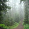 Larch Mountain