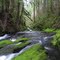 Duncan Creek--Nellie Corser unit