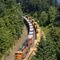 Frait Train